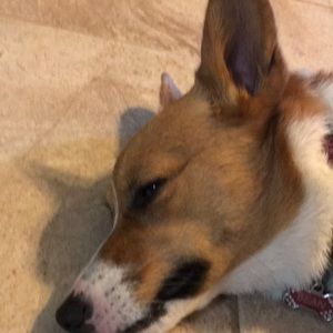 Meet your Posher, Tammy